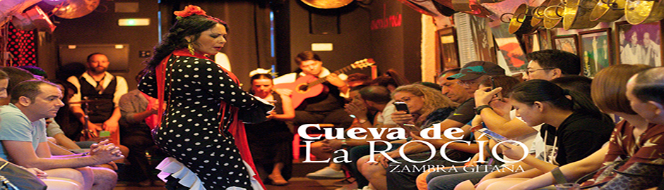Flamenco Granada
